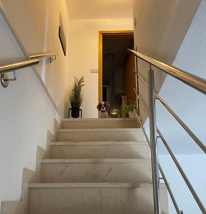 Mediterano Apartment - City Center Split Eksteriør bilde